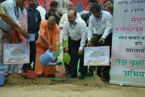 पौध रोपण
