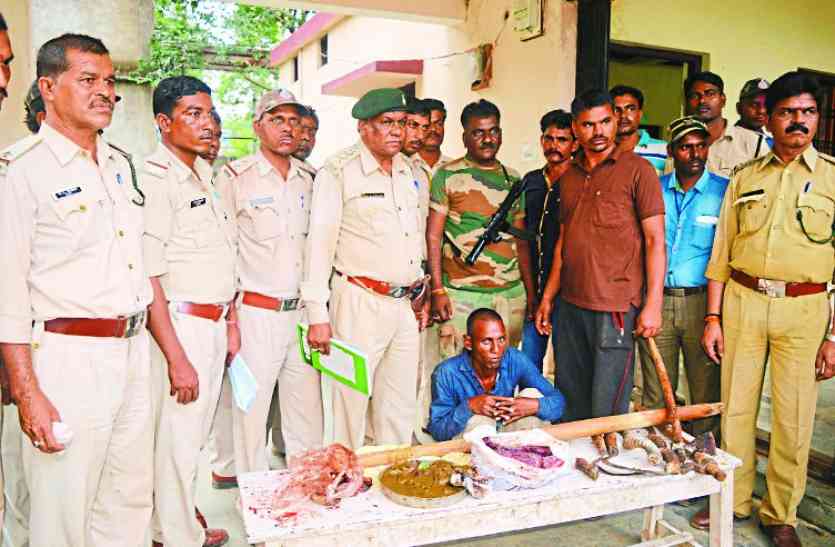 Black duck meat was cooked the forest department was caught पका रहे थे काले हिरण का मांस, वन विभाग ने दबोचा