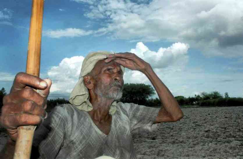 farmer किसानों पर प्राकृतिक आपदा, भयानक सूखे की दस्तक ने तोड़ी कमर