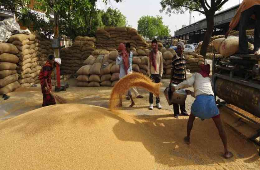 farmer 300 से अधिक अन्नदाताओं के साथ करोड़ों की धोखाधड़ी, किसान बोला- इस कांड में पुलिस भी है शामिल