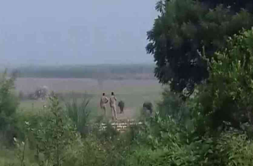 सिपाहियों ने खनन माफियाओं को खदेड़ा, भैंसा गाड़ी छोड़ खेत में छिपे सिपाहियों ने खनन माफिया को खदेड़ा, भैंसा गाड़ी छोड़ खेत में छिपे