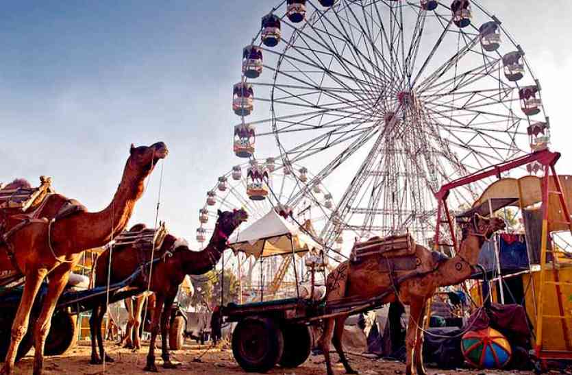 pushkar fair will be high tech this year cctv cameras watch tourists इस साल देखने लायक होगा पुष्कर मेला, हाईटेक सिस्टम से रहेगी यात्रियों पर नजर , पढ़ें और क्या होगा खास