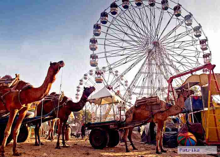 Pushkar Mela, Pushkar Mela Rajasthan