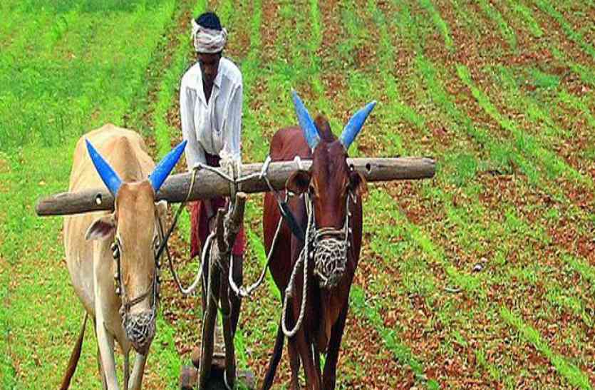 Farmers income will increase फल, फूल, मिर्च मशालों व मधुमक्खी पालन से सुधरेगी किसानों की सेहत