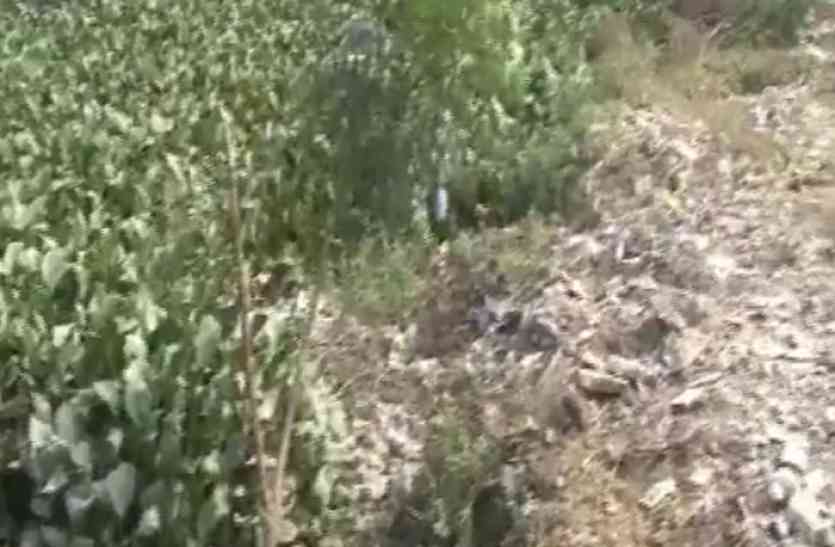 infection in Khera Gaon खेरा गांव में संक्रमण से 4 लोगो की मौत, मचा हड़कंप!