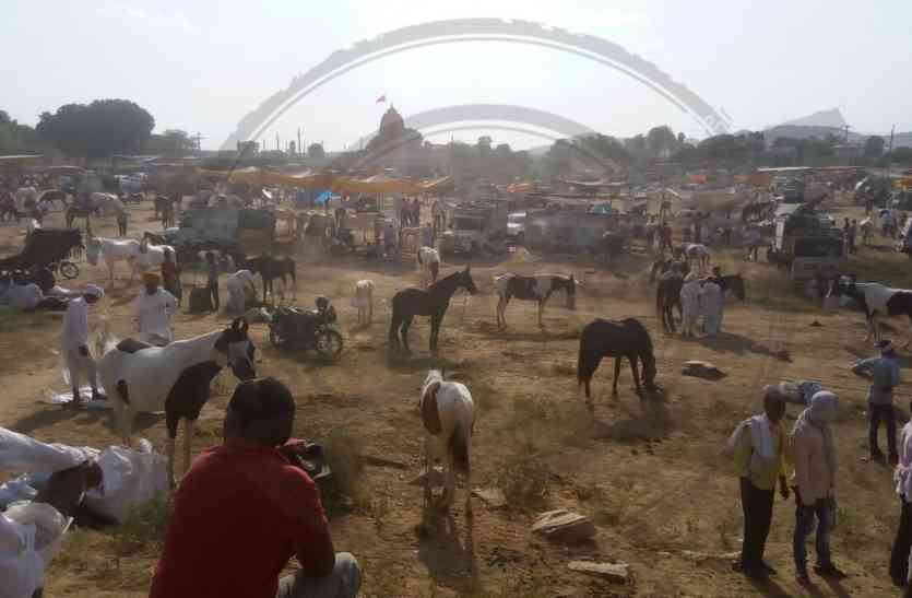 donkey fair सज धज गए हैं गधे और घोडे, जयपुर में दो दिन चलेगा अनोखा गर्दभ मेला