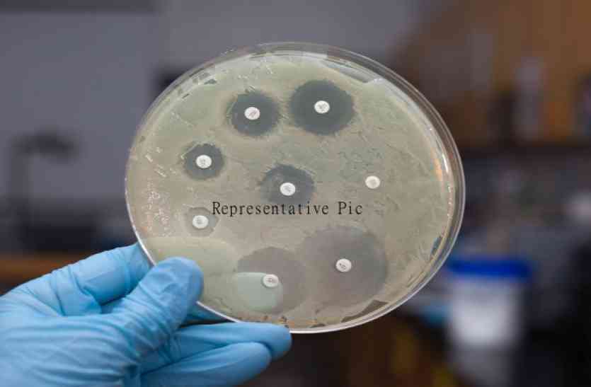 Bacteria एंटीबायोटिक प्रतिरोधक बैक्टीरिया की पहचान अब 30 मिनट में