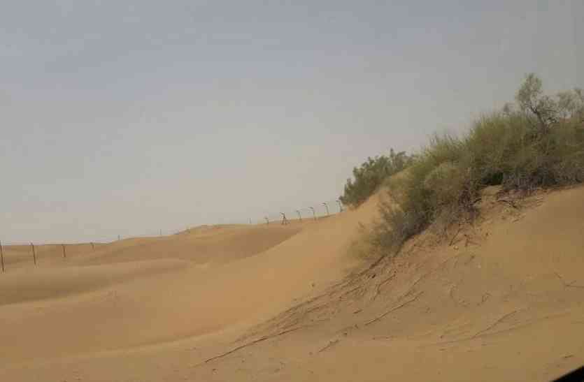 Jaisalmer patrika Jaisalmer- हसन की आवाजाही से फिर उजागर हुए सीमा सुरक्षा के छिद्र