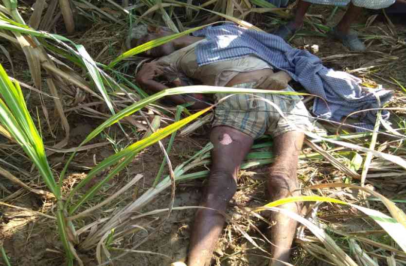 died खेत पर फसल देखने गया था किसान,मगर दोपहर में तार से लिपटी मिली बॉडी