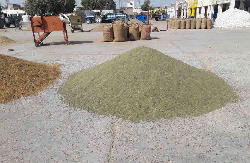 pulses मूंग की गुणवत्ता पर विवाद, किसानों-मजदूरों ने जताई नाराजगी