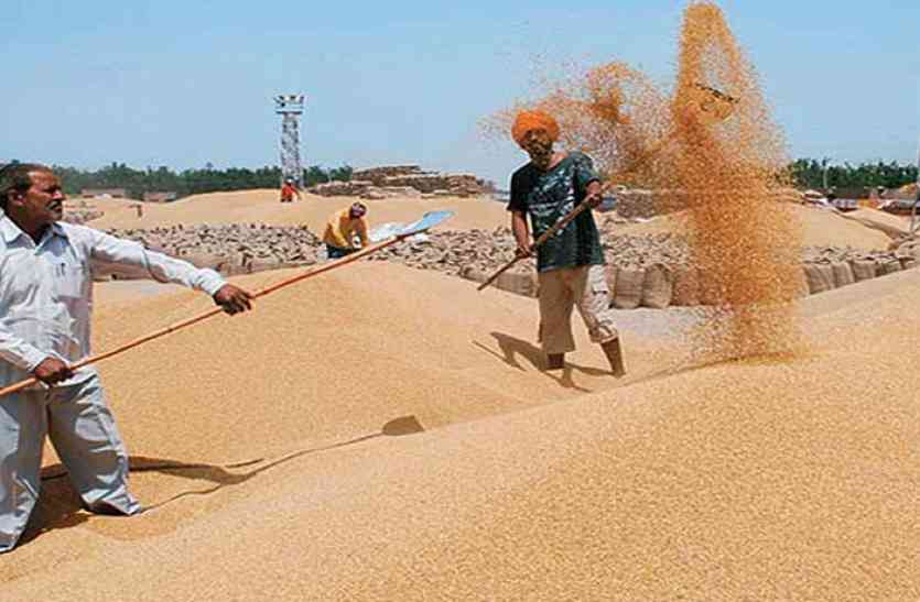 Pratapgarh मंडी में गुरूवार को विभिन्न जिंसो के भाव प्रति क्विटल इस प्रकार है।