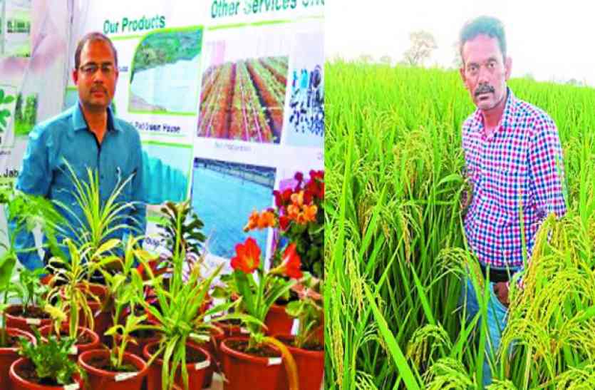 youth left the jobs of MNC became farmers and Entrepreneur,Example of becoming a youth farmer of the state, trade spread to many states,youth farmer of the state, trade spread to many states,jashpur farmar,farmar,farmar news,farmar day,farmar day date,date significance,farmar meaning,farmar karj mafi,farmar facing,farmar sad,mp farmar,Farmar Strike,policem farmar,farmar land,farmar protest,farmar death,farmar upset news,farmar ness,Suicide farmar,farmar news,Farmar encompass,Entrepreneur,social OMG-एमएनसी की नौकरी छोड़कर शुरू की खेती, 1 एकड़ में 57 क्विंटल धान का उत्पादन करके बनाया रिकॉर्ड