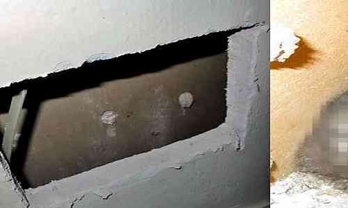Shocking Thing Hidden Shocking Thing Hidden