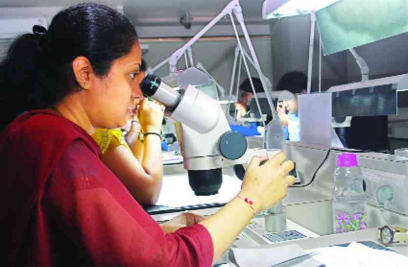 20 day wage in diamond industry from 15 हीरा उद्योग में 20 दिन का वेकेशन 15 से