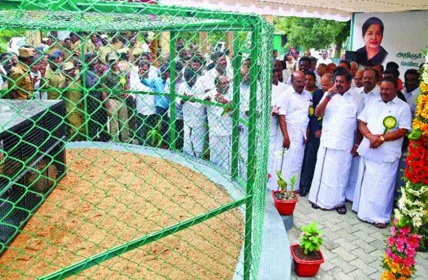 Chief minister visits Vandalur zoo वंडलूर चिडिय़ाघर का निरीक्षण करने पहुंचे मुख्यमंत्री