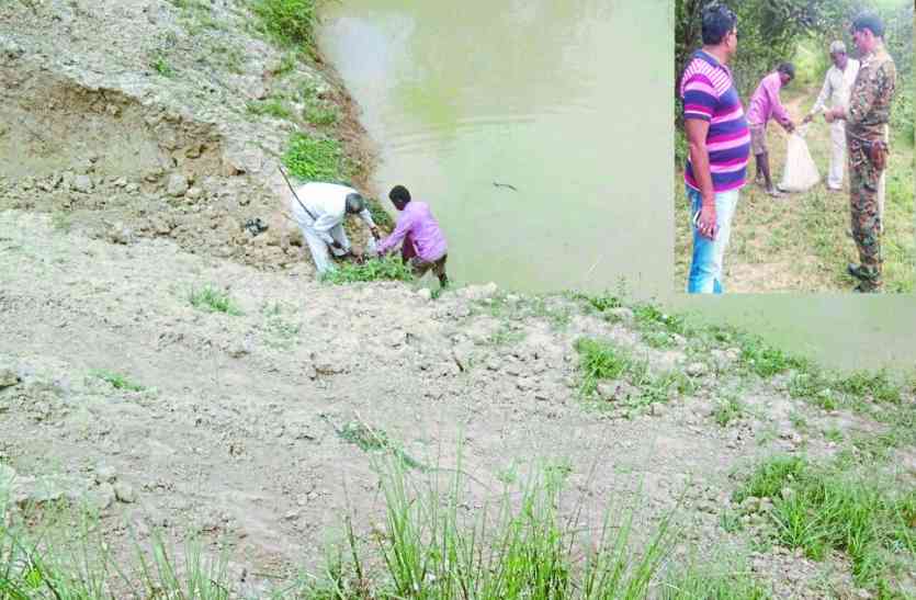 married woman murdered, married woman found dead, in laws escaped after woman death, father get news of daughter murder, daughter murder in sasural, police searched dead body, crime news, bhind news, gwalior news, gwalior news in hindi, mp news पिता को मिली बेटी के कत्ल की खबर मगर ससुराल पहुंचा तो ऐसे थे हाल, 3 दिन बाद गड्ढे से मिली बेटी की बॉडी