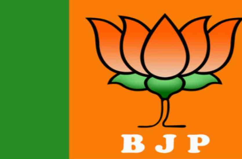 BJP मेयर चुनाव: भाजपा में लंबी कतार, ये हैं दावेदार