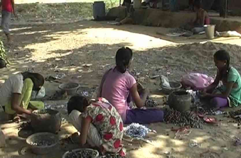 Innocent children making crackers यहां मौत के ढेर पर बारूद के गोले बनाने में जुटे हैं मासूम
