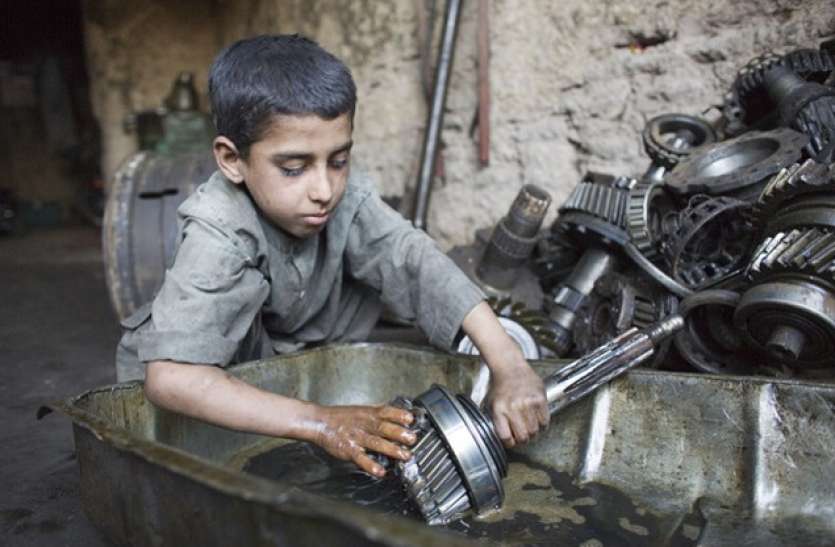 child labour found, child labour case, girl exploitation, child labour relieved, child labour news child labour case : बालिका से घरेलू काम कराने वाले एनजीओ संचालक को हो सकती है जेल