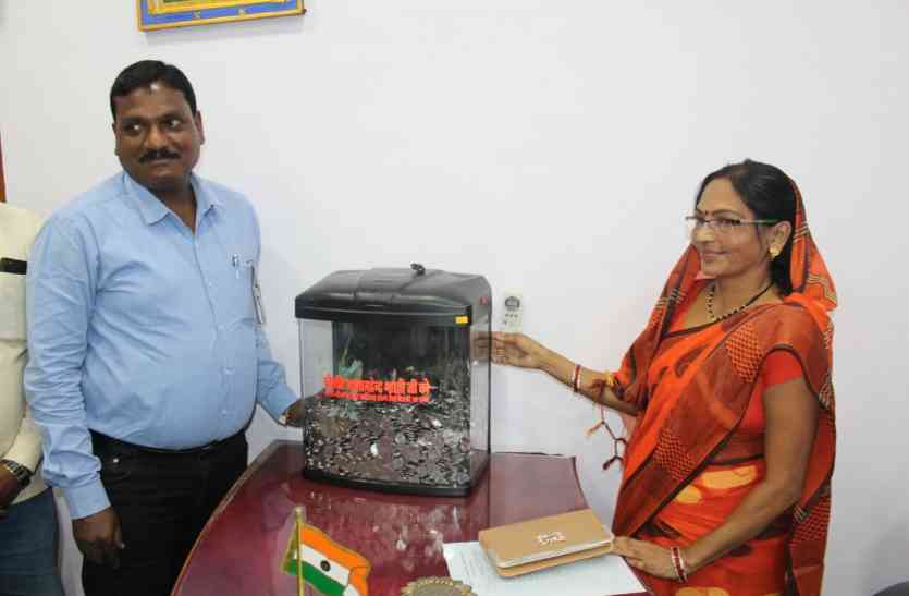 Coins made by municipal president जानिए कैसे एक निर्दलीय प्रत्याशी को सिक्कों ने बनवा दिया नगरपालिका अध्यक्ष
