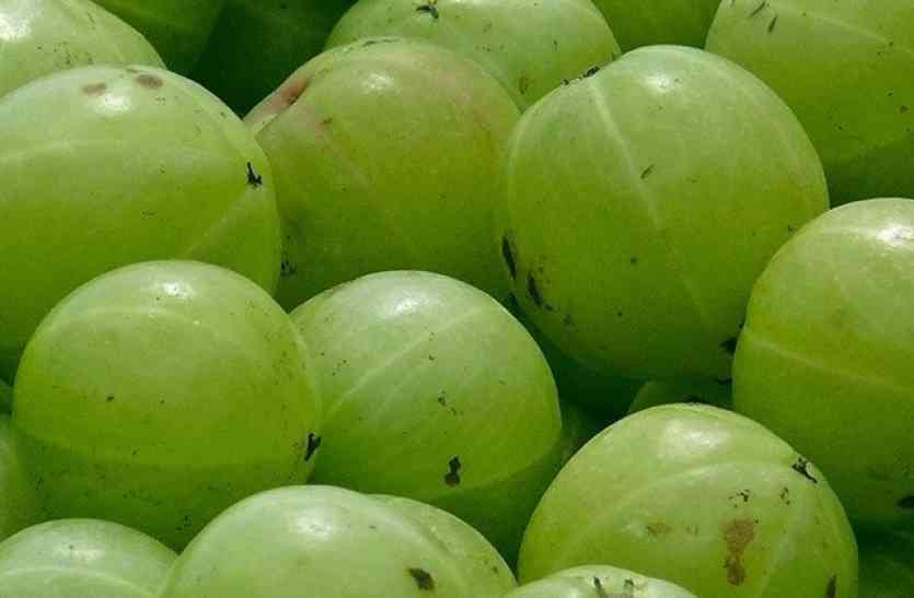 Benefits of Amla असमय बाल सफेद हो गए हैं तो करें आंवले के ये घरेलू उपाय