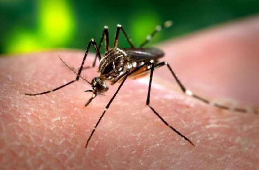 latest medical news इन गंभीर रोगों के लक्षण यहां भी मिल रहे