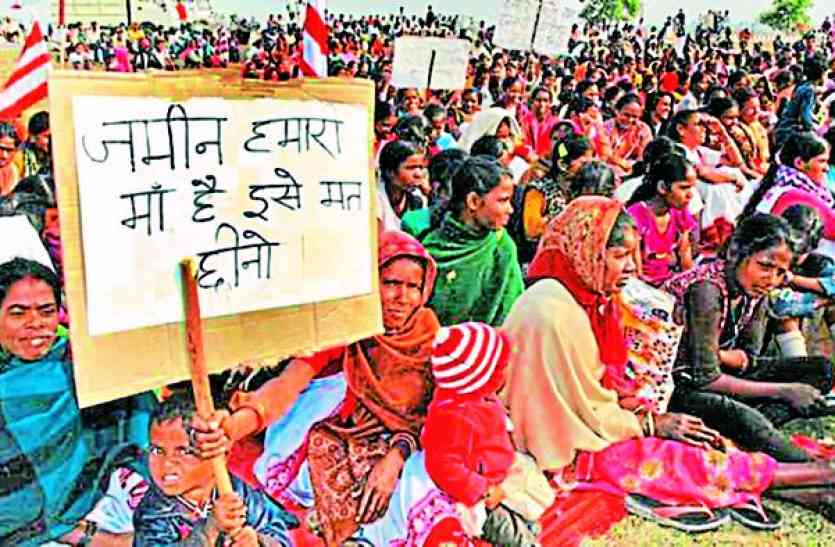 community forest law सामुदायिक वन अधिकार देने में एमपी-गुजरात से पीछे राजस्थान, सरकार के आंकड़ों में खुली पोल