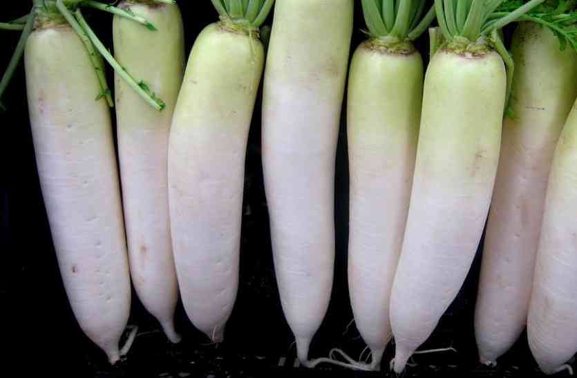 Radish Benefits मूली की स्मेल पर मत जाइए, इसमें हैं ये चमत्कारिक गुण