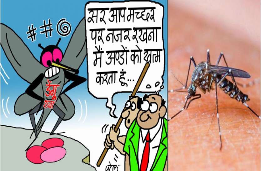 mosquito uncontrolable सावधान! घर के पास जमा बरसाती पानी में लार्वा मिला तो लगेगा 500 रूपए जुर्माना, किस शहर में जारी हुआ ये फरमान, जानिए