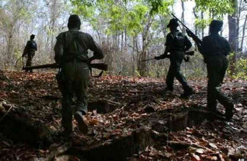 Attack of the smugglers stoned the vehicle broke teak seized khandwa तस्करों का हमला, पथराव किया, वाहन तोड़े, सागौन जब्त