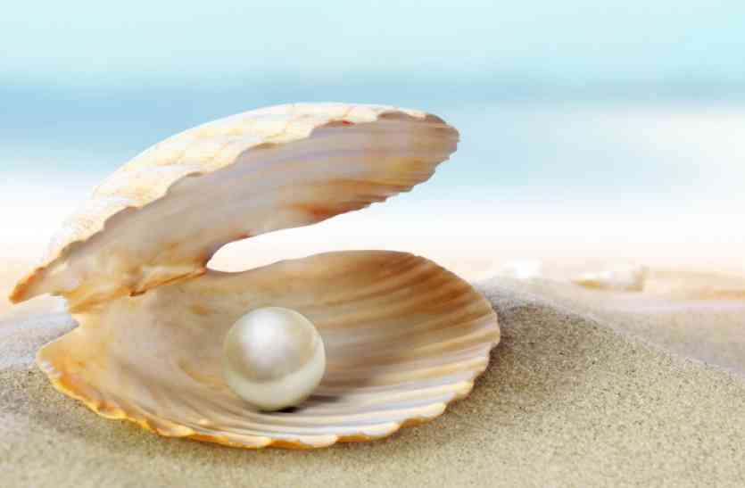 pearl मेवाड़ में चमक बिखेर सकती है मोती की खेती, यहां सिखा रहे इसकी तकनीक