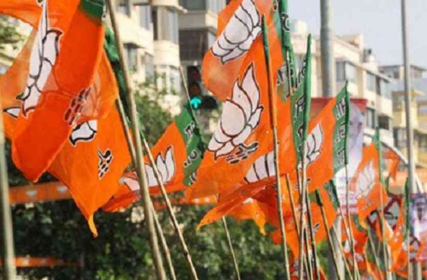 bjp इस ब्राह्मण नेता ने बीजेपी में मचाया हड़कंप, कड़े मुकाबले में दिग्गजों को दी करारी शिकस्त