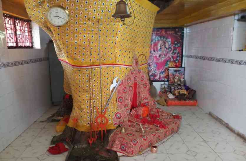 Theft in Goddess Temple घोर कलियुग: चोरों ने देवी के मंदिर को भी नहीं छोड़ा, दानपेटी और जेवरात ले उड़े