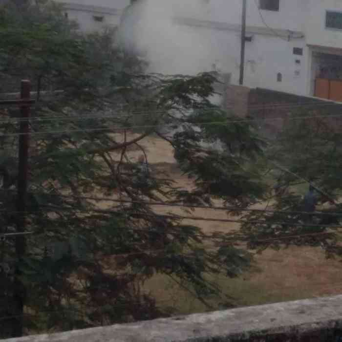 महमनापुर कालोनी पार्क में जलता कूड़ा
