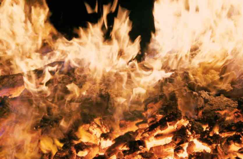 alert 50 quintel wood to burn after Parali अब पड़ेगी प्रदूषण की असली मार, पराली के बाद जलने वाली है एक साथ इतने क्विंटल लकड़ी