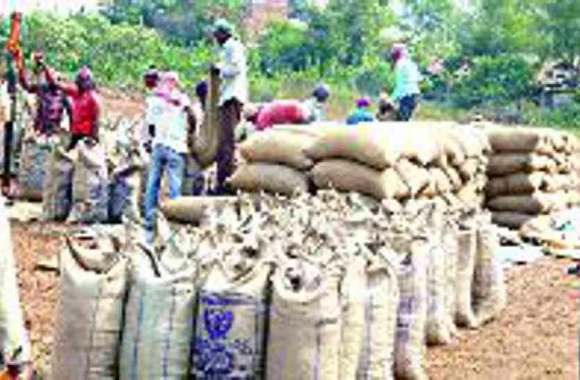 Paddy purchase center किसानों के लिए खुशखबरी-अब कम्प्यूटर बताएगा तौल का दिन और समय