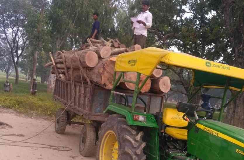 tree cutting प्रिसिंपल ने कटवा दिये लाखों के पेड़, वन विभाग ने साधी चुप्पी