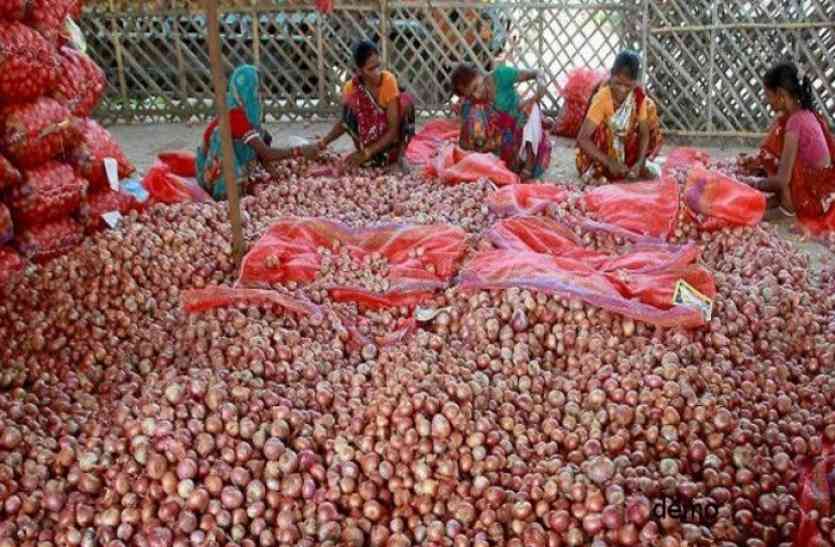Onion in Market अब नहीं सड़ेगा राजस्थान का प्याज, इंटरनेशनल मार्केट में फैलाएगा अपनी महक