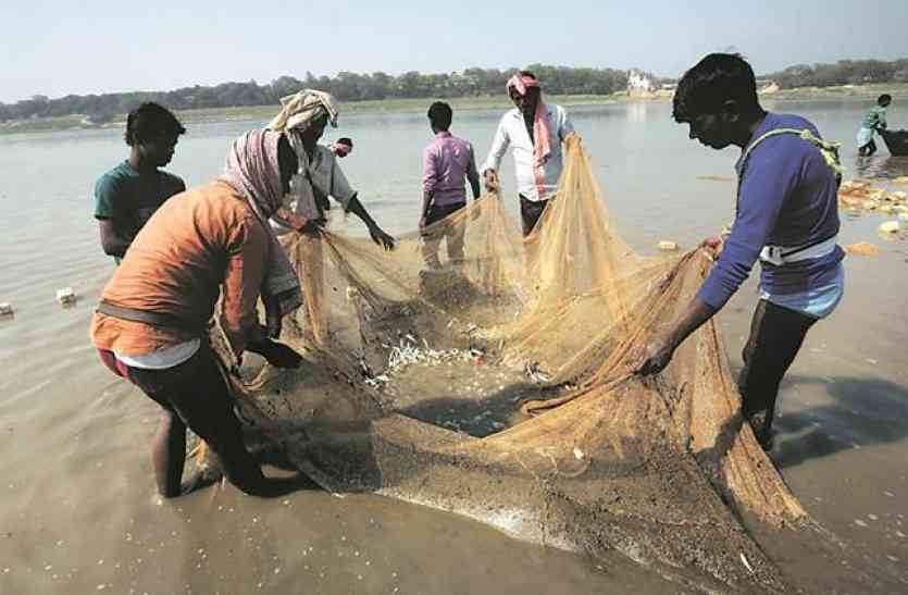 fish केकड़ा पकड़ने के लिए सरकार देगी पैसा, बढ़ेगी आय