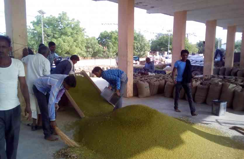 Nagaur patrika news राजफेड की गलती से फंस गए काश्तकारों के साढ़े तीन करोड़...!