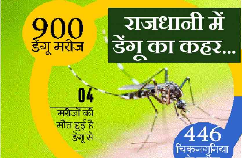 Dengue in bhopal राजधानी में डेंगू: दस साल में सबसे ज्यादा खतरनाक हालात, वार्डों में नहीं बची जगह