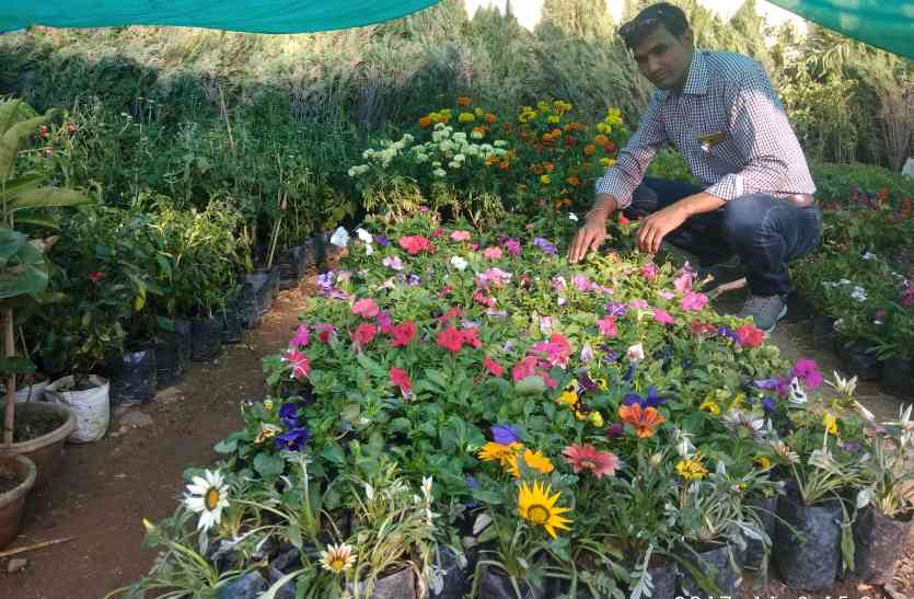Winter season: Gardens decor will grow विंटर सीजन : गार्डन डेकोर से बढ़ेगी रंगत
