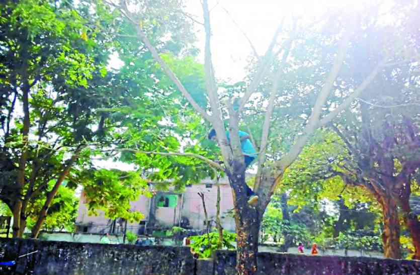 CG news टीचरों ने छात्रों के साथ की गंदी हरकत, अब जमकर हो रहा है वायरल