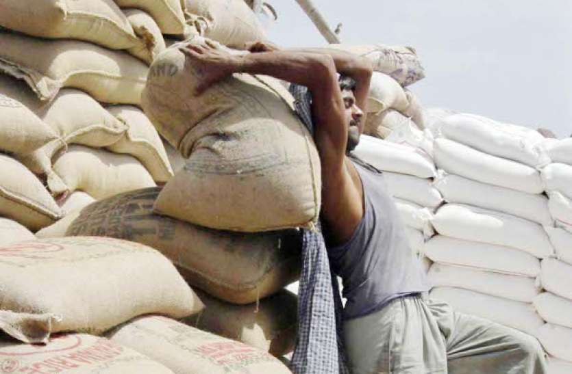 Continuous wheat arrival रिकॉर्ड की उम्मीद: लगातार बढऩे लगी गेहूं की आवक
