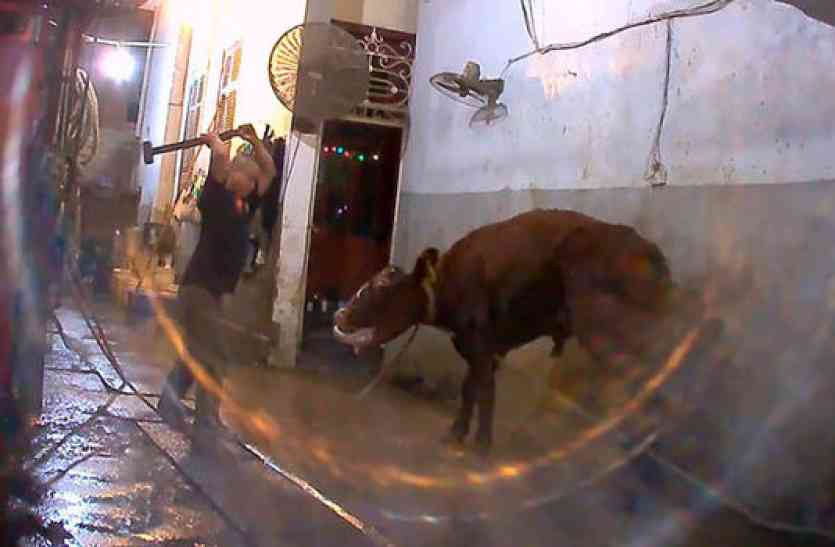 Slaughter House कत्लखानों पर योगी सरकार का शिकंजा, 24 घंटे रहेगी निगरानी