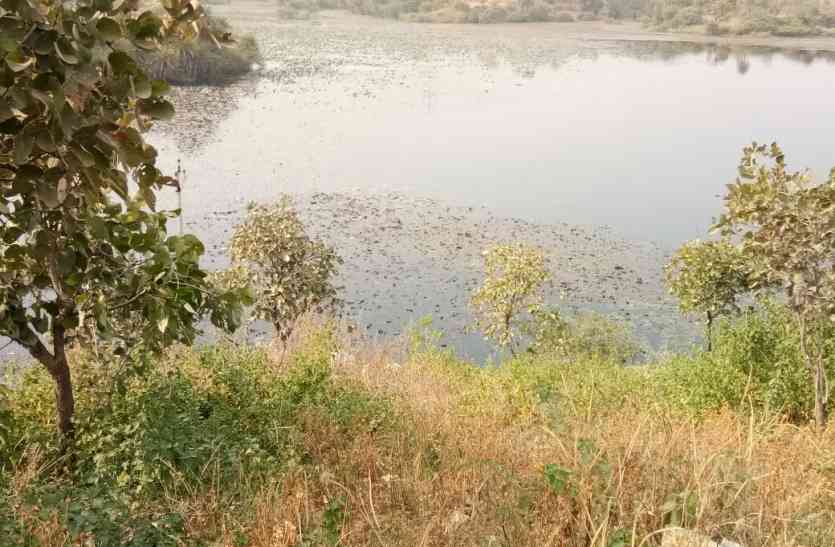 udaipur jogi talab fatehsagar lake udaipur उदयपुर का यह तालाब जल्द दिखेगा फतहसागर जैसा, पत्रिका से बातचीत में बताई ये विशेष बातें