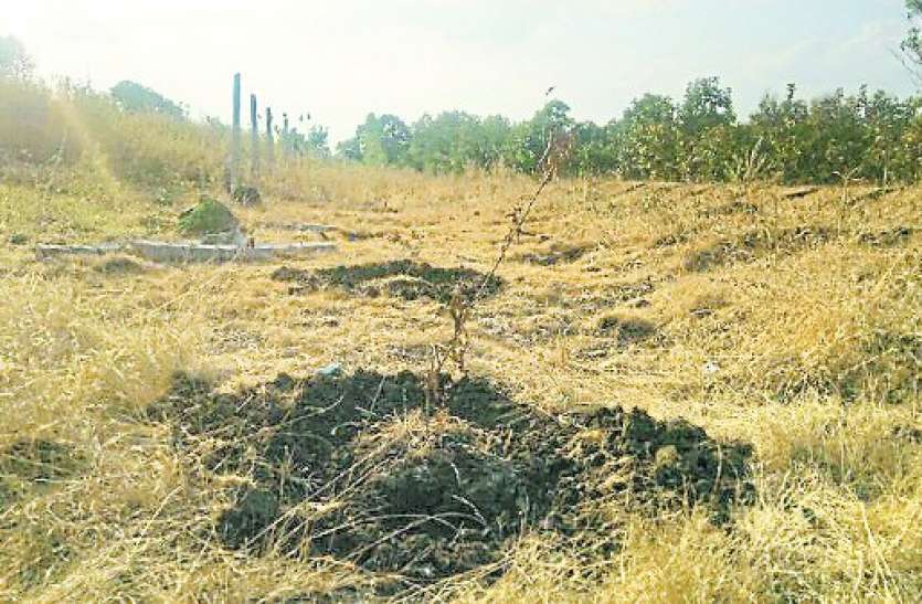 chhindwara मनरेगा का बेड़ागर्क..ये देखो क्या हो गया