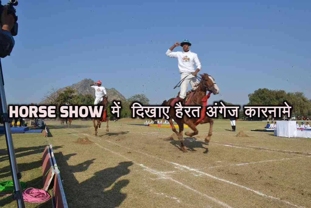 beautiful pics of horse show in mayo college ajmer beautiful pics of horse show in mayo college ajmer