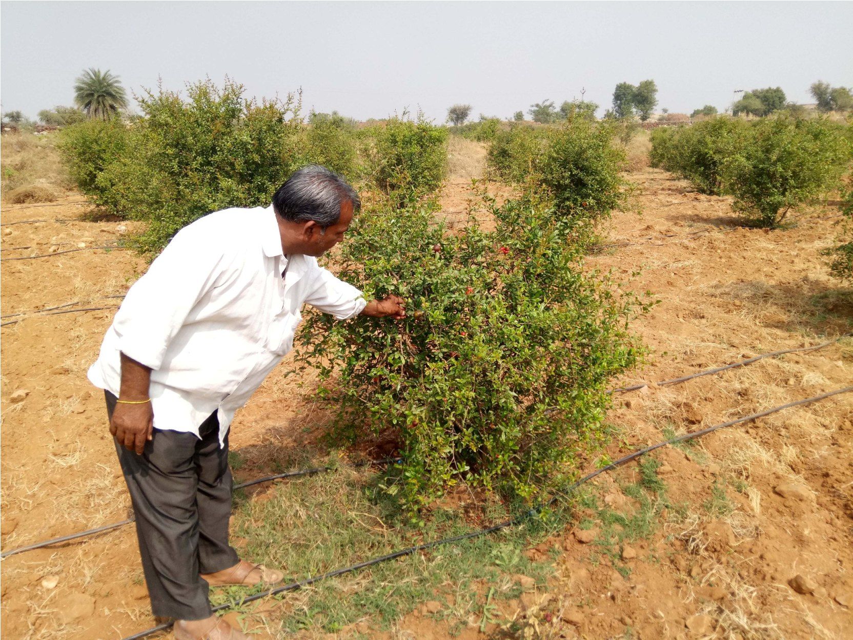 Stop the canal crisis on crop meet the collector going to the leader नहर बन्द, फसल पर संकट, नेता जा रहे कलेक्टर से मिलने