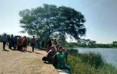 udaipur bird festival